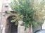 Immagine 13