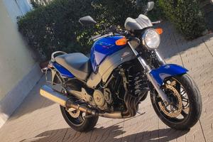Honda cb 1100 SF X  Eleven 
