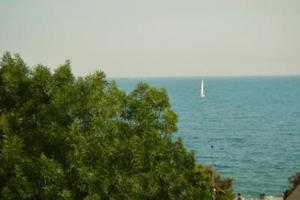 Solo 100 mt MARE e PINETA. Castiglioncello