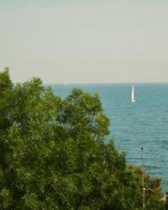 Solo 100 mt MARE e PINETA. Castiglioncello