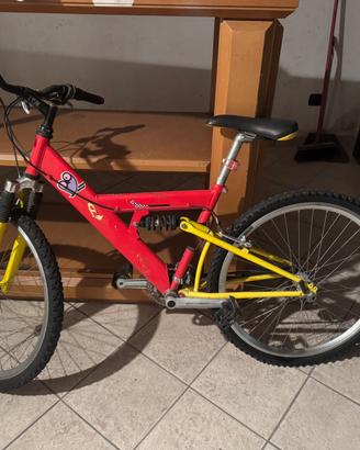 Mountain bike