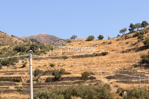 TERRENO AGRICOLO SCOSCESO A ROCCALUMERA