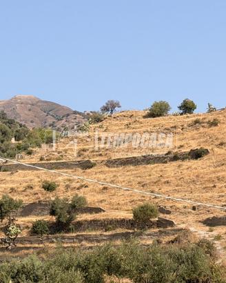 TERRENO AGRICOLO SCOSCESO A ROCCALUMERA