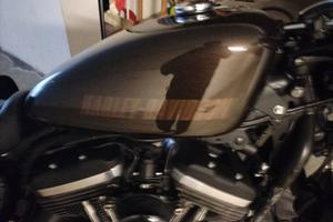 Harley Roadster 1200