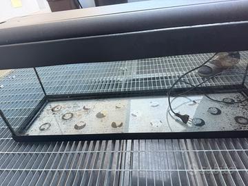 Acquario 150 litri