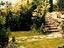 Immagine 5
