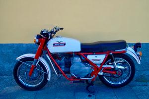 Falcone civile 500 anni 70
