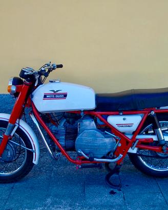 Falcone civile 500 anni 70