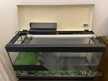 Acquario con isola per tartaruga