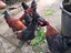Immagine 5