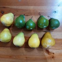 n. 9 pere frutta finta di alta qualità 