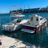 ZANIBONI F310 BLUTIME + 2x200hp FNM (2010)