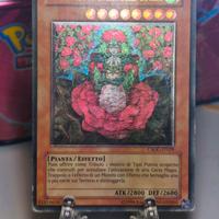 Lotto carte Yu-Gi-Oh 