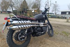Triumph Scrambler 900