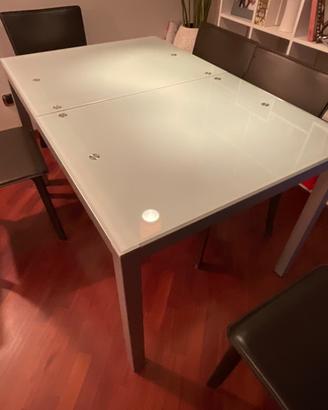 TAVOLO E SEDIE SALOTTO