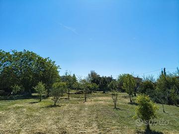 Terreno agricolo