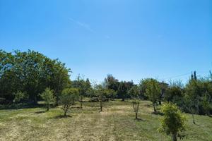 Terreno agricolo