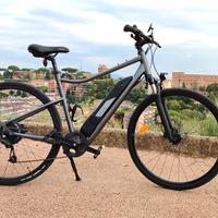 Bicicletta elettrica 