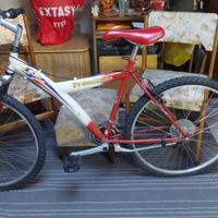 Bici mountain bike
