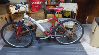 Bici mountain bike