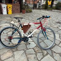 Bici mtb city MGZ2100