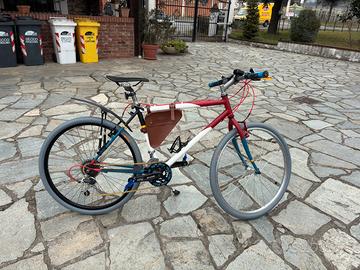 Bici mtb city MGZ2100