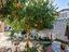 Immagine 13