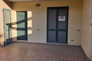 Vendita appartamento