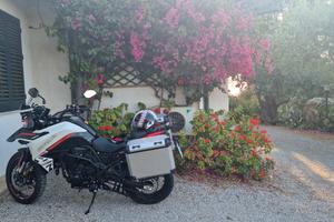 Benelli TRK 702 - 2024