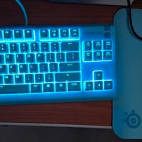 Setup SteelSeries + ASUS ROG (Pari al nuovo)