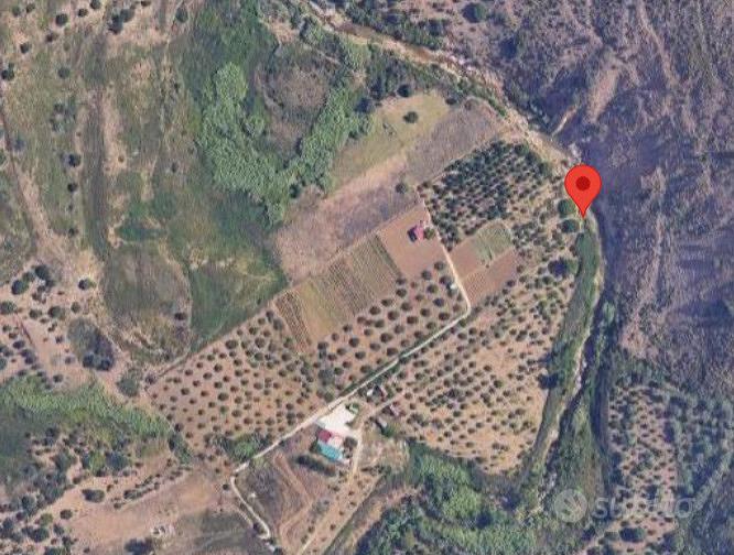 Terreno agricolo a Casteldaccia (Pa) - Vista 5