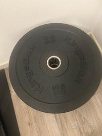 Dischi bumper 15Kg KingsBox