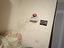 Immagine 11
