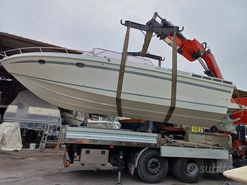 Squalo 28
