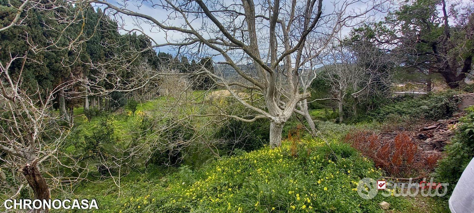 Locanda, terreno con ruderi e deposito - Vista 2