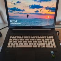HP Envy 17"