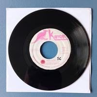 Disco 45 giri - Terrance Smith, How Long - reggae
