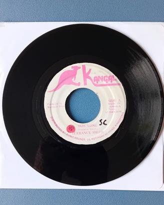 Disco 45 giri - Terrance Smith, How Long - reggae