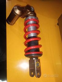 mono posteriore BMW s1000rr