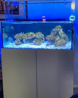 Acquario marino tecnica