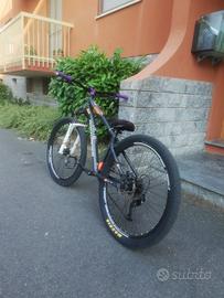 Rockrider st 120 (modificata) 