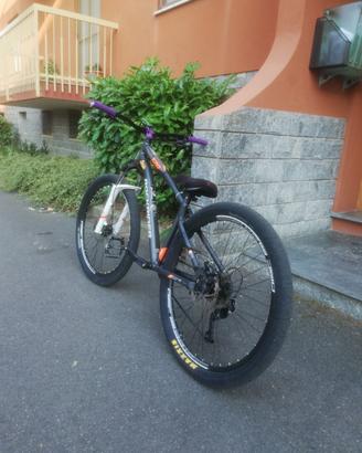 Rockrider st 120 (modificata) 