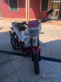 Malaguti fifty top colors