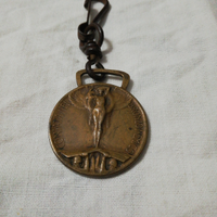 Medaglia coniata nel bronzo nemico