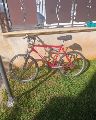 bici cletta
