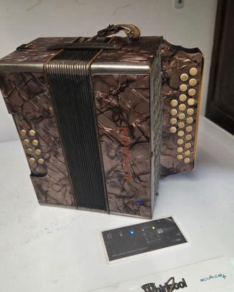 Organetto 8 bassi Hohner Club II
