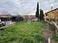 Immagine 14