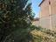 Immagine 9