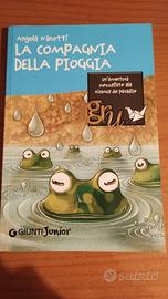 La compagnia della pioggia - angela nanetti