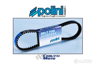 Cinghia variatore Polini minarelli